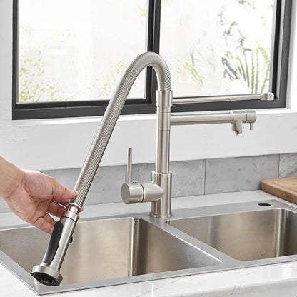 DecorBites™ LED Kitchen Faucet with Dual Spouts and Single Handle