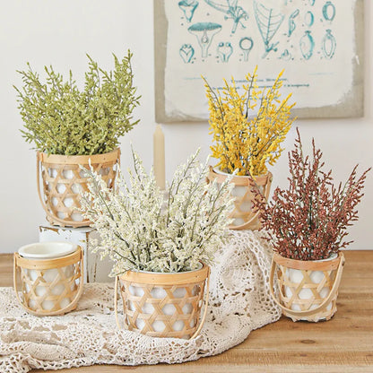 DecorBites™ Forever Dancing Grass Flowers Dried Preserved Home Wedding Decor DIY Material