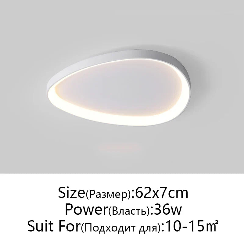 Modern LED Ceiling Fixture
