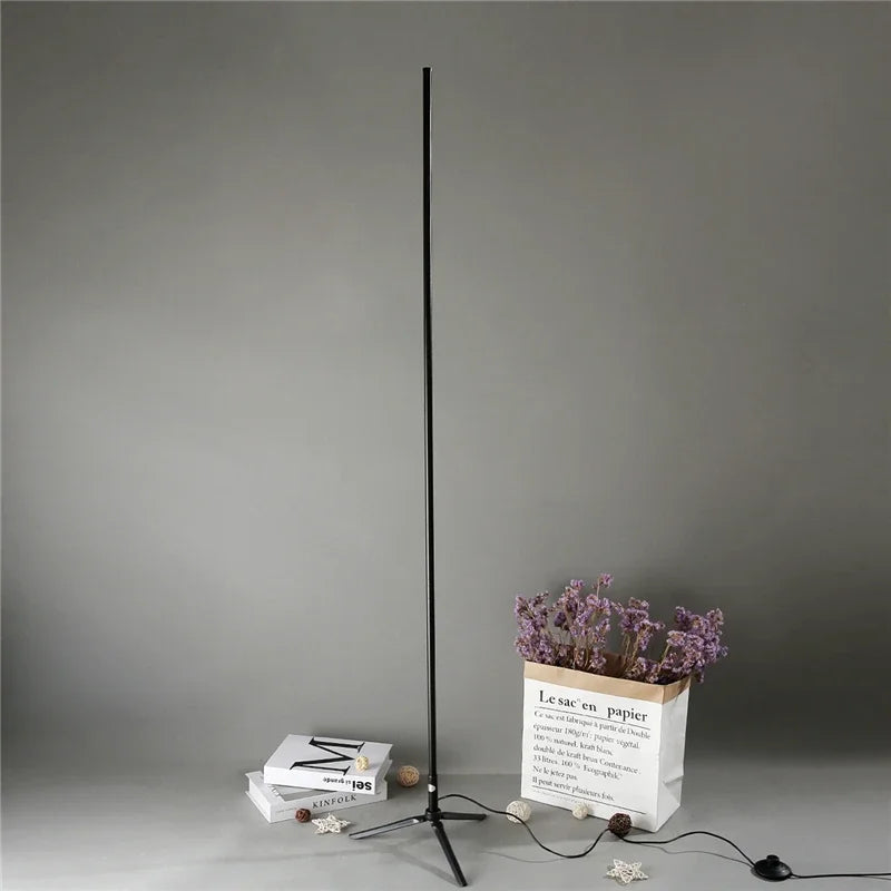 Gold Minimalist Floor Lamp