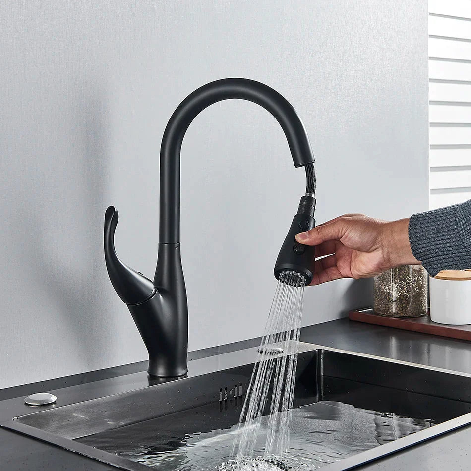 Black Pull-Out Kitchen Faucet Dual-Function Spout