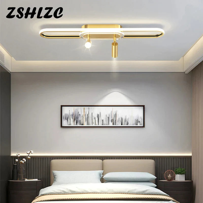Modern Ceiling LED Chandelier