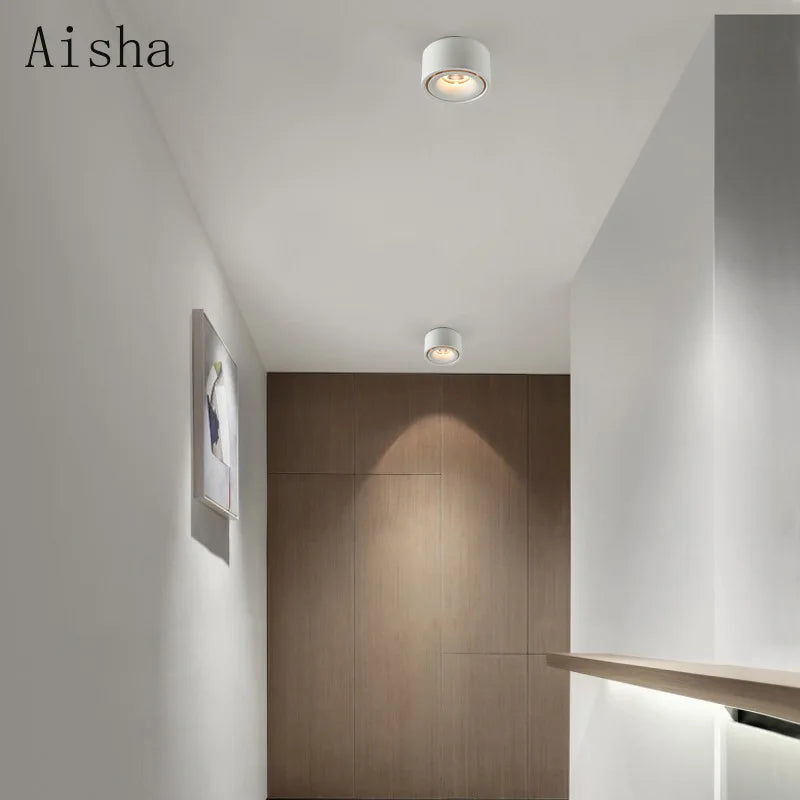 Aluminum Spotlight Ceiling Lamp