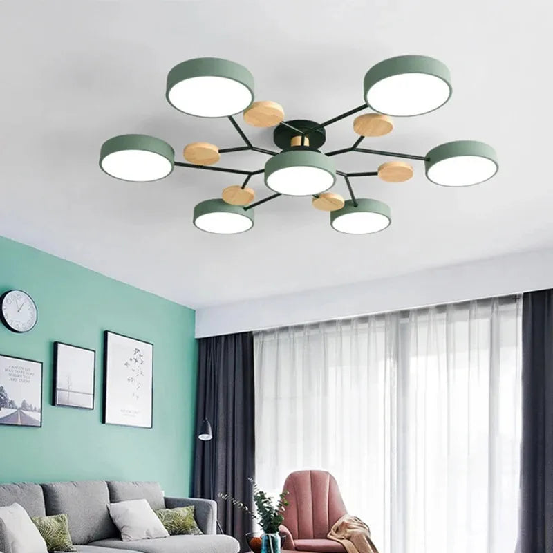 Large LED Ceiling Light Fixture