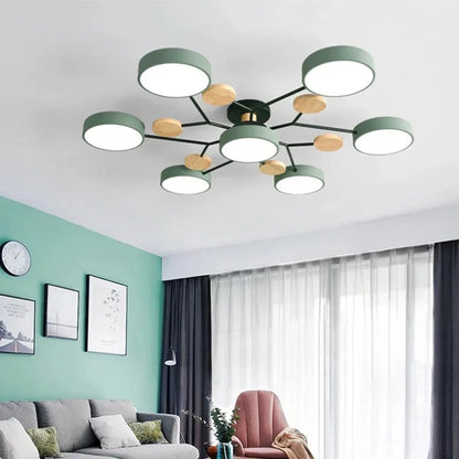 Large LED Ceiling Light Fixture
