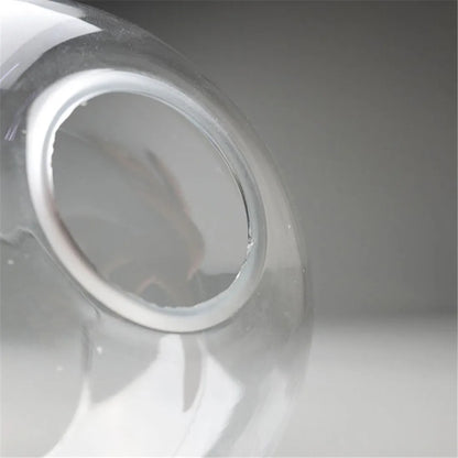 DecorBites™ Hand Blown Clear Glass Globe Lamp Shade with 2 Ends Opening, D18cm Glass Cover Ball Lampshade