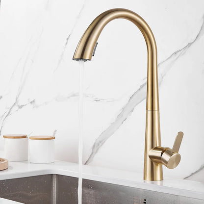 DecorBites™ Black Brushed Gold Kitchen Faucet with Pull Out Spring Spout
