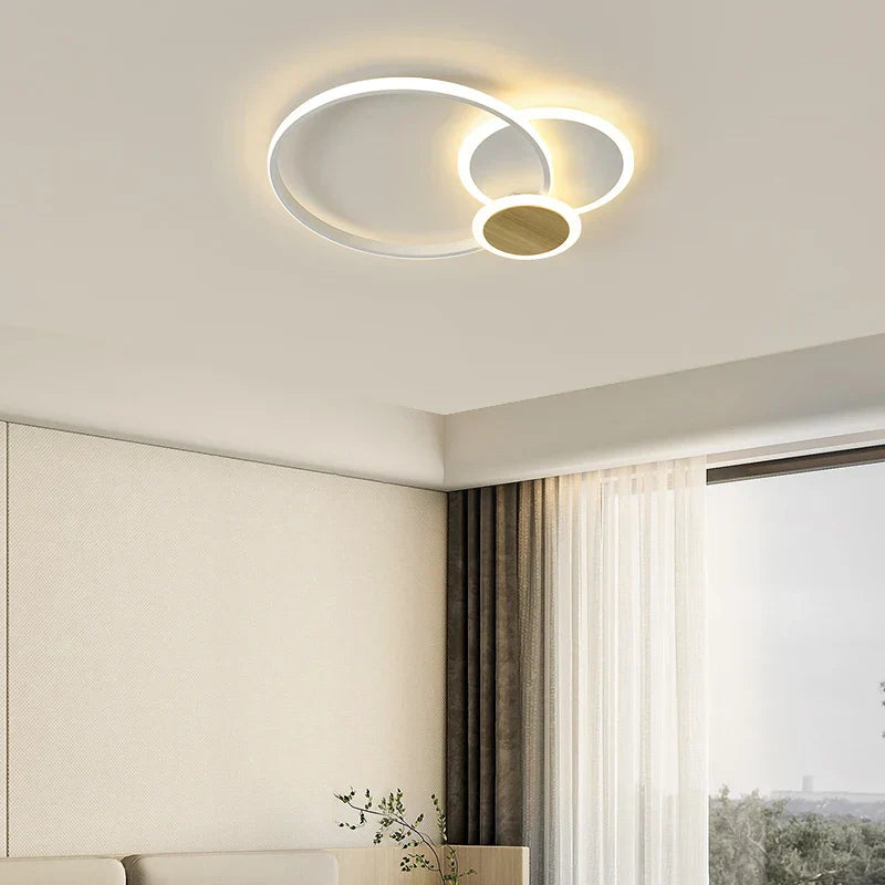 LED Modern Luster Chandelier