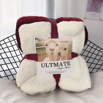 DecorBites™ Cozy Plush Blanket: Soft, Warm, Lightweight for Bedroom & Sofa All Seasons