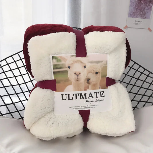 DecorBites™ Cozy Plush Blanket: Soft, Warm, Lightweight for Bedroom & Sofa All Seasons