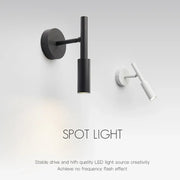 Modern LED Ceiling Lamp
