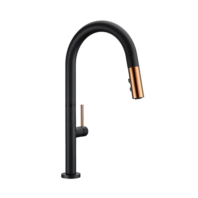 Black Modern Kitchen Faucet