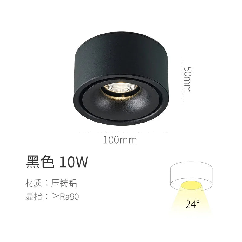 Aluminum Spotlight Ceiling Lamp
