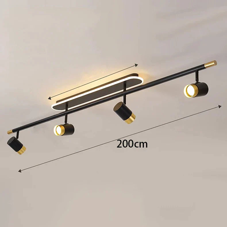 Gold Finish Ceiling Light