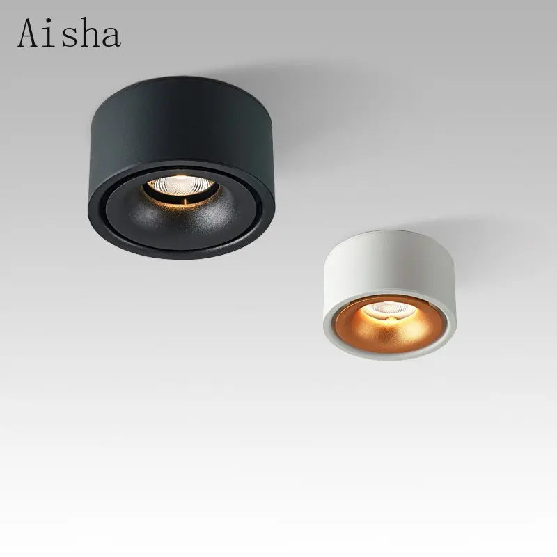 Aluminum Spotlight Ceiling Lamp