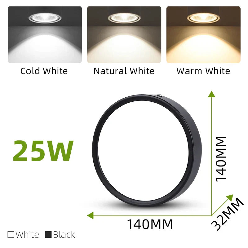 DecorBites™ LED Ceiling Lamp 220V Indoor Lighting Fixture for Kitchen Room & Platform