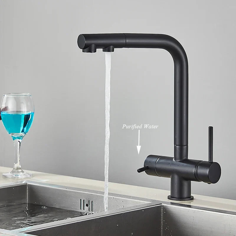 Stainless Steel Filter Faucet