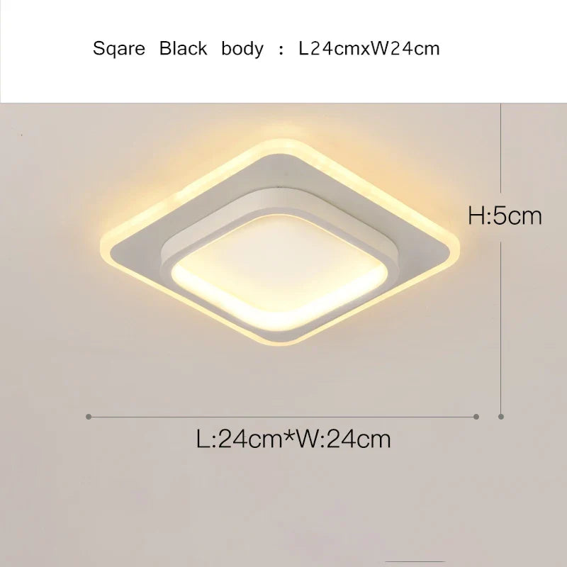 Modern Aisle Ceiling Light