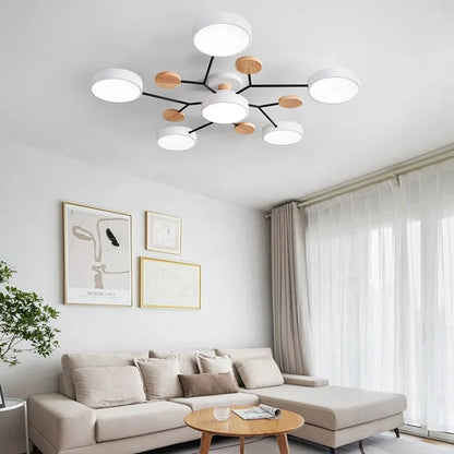 Large LED Ceiling Light Fixture