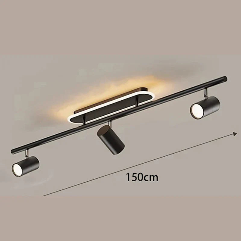 Gold Finish Ceiling Light