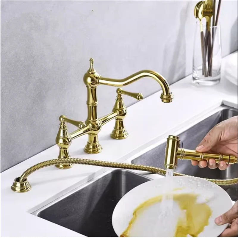 Gold Hand Shower Kitchen Faucet