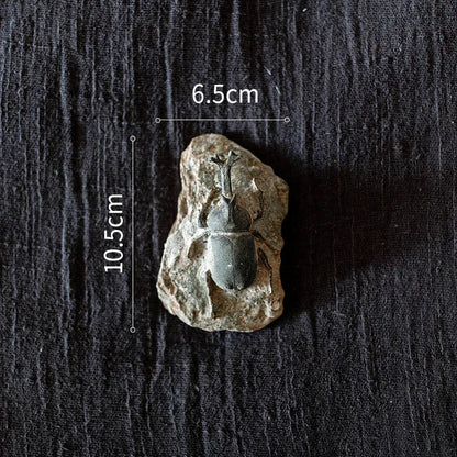 DecorBites™ Fossil Series Art Refrigerator Stickers: Fish Bone Beetle Marine Insect Specimen