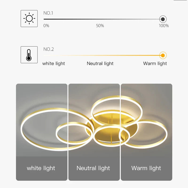 Minimalist Rings LED Pendant