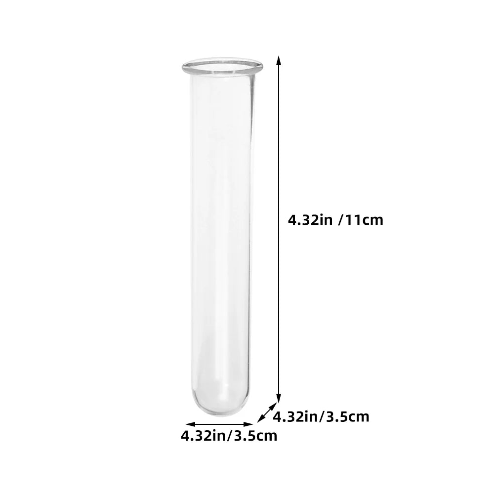 Clear Glass Test Tube Vases for Plants