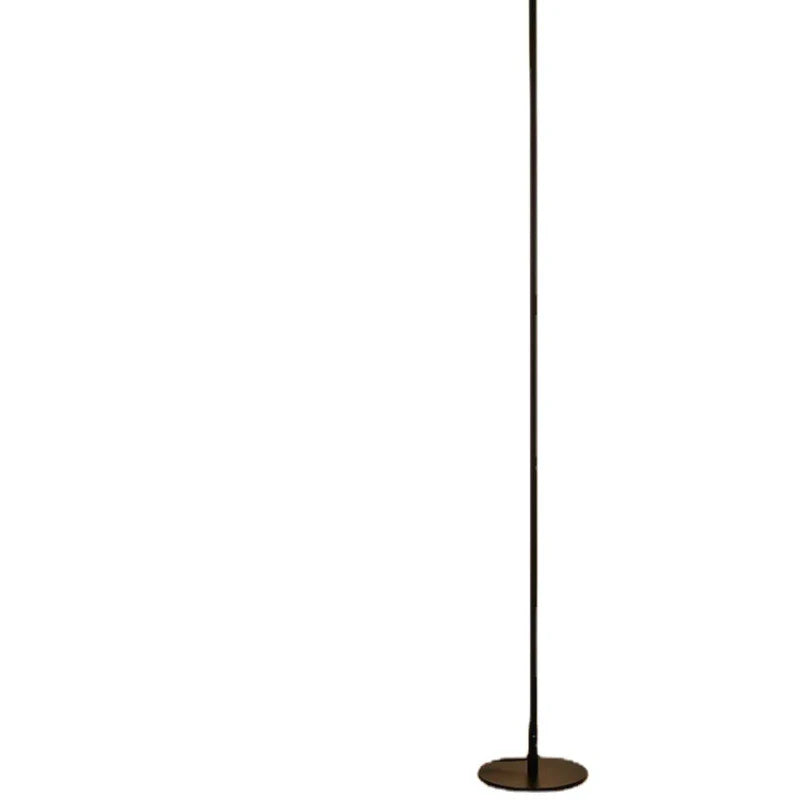 Black LED Floor Lamp D20cm 160cm Aluminum