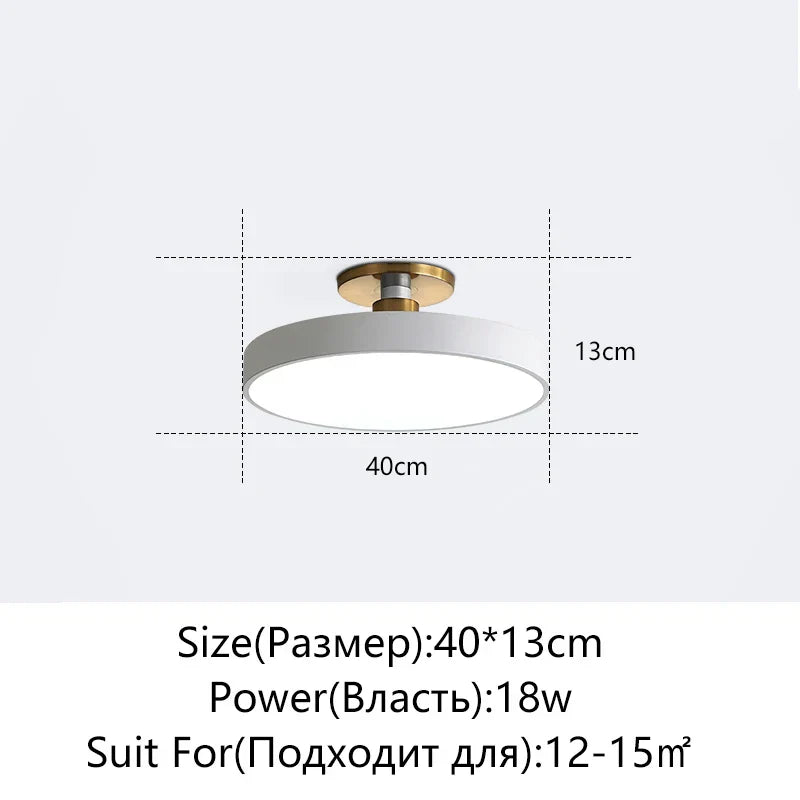 DecorBites™ LED Ceiling Lamp for Living Room Study Child Bedroom Indoor Lighting