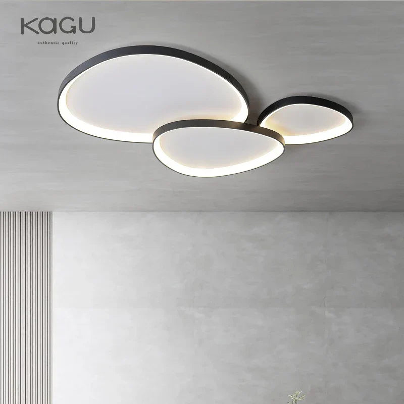 Modern LED Ceiling Fixture