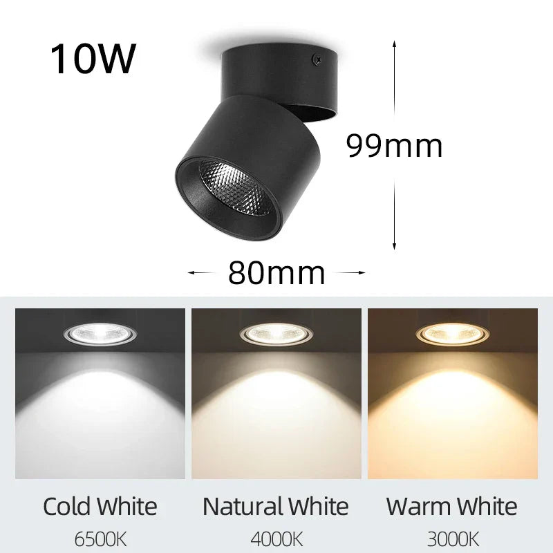 DecorBites™ LED Ceiling Lamp 220V Indoor Lighting Fixture for Kitchen Room & Platform