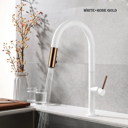 Black Kitchen Faucet Pull Out Spout