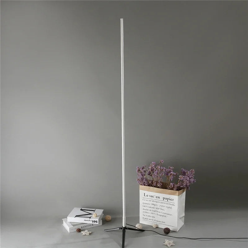 Gold Minimalist Floor Lamp