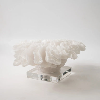 DecorBites™ Coral Tree Resin Handicrafts with Crystal Base for Home Decor