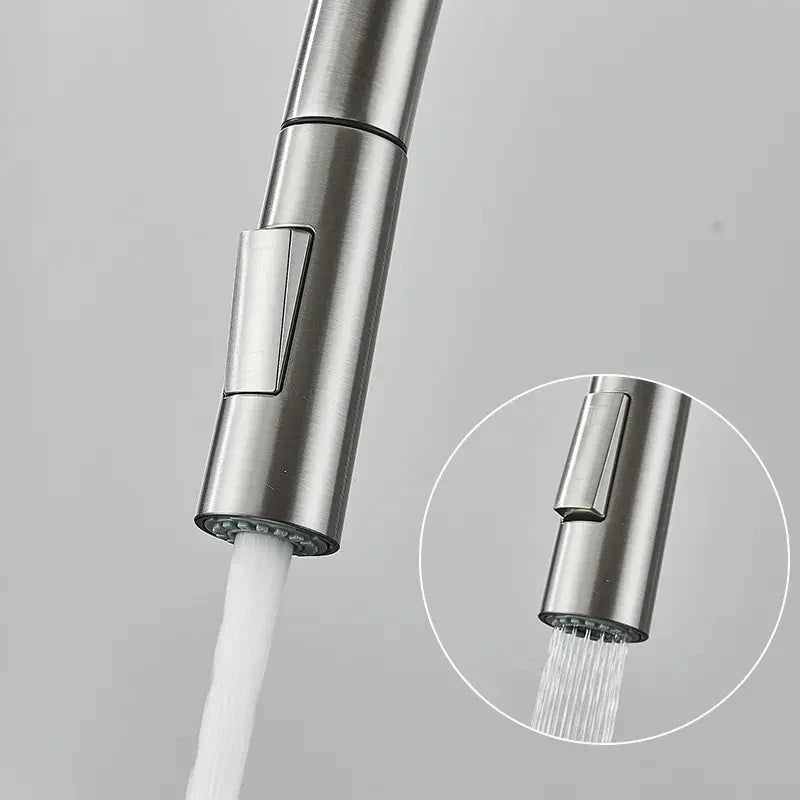Chrome Kitchen Spray Head