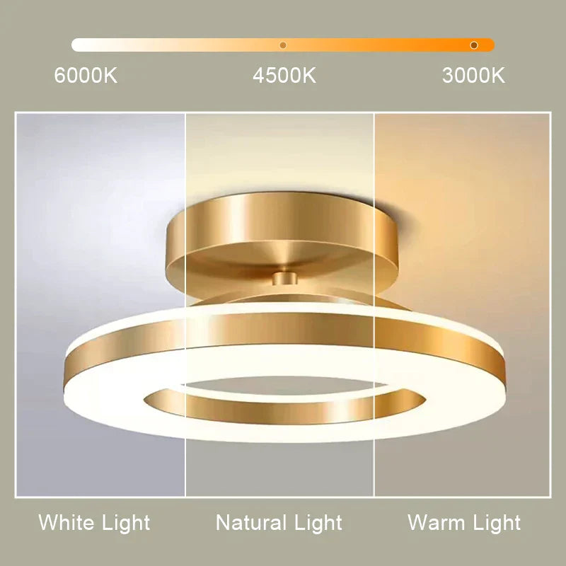 DecorBites™ LED Ceiling Lamp for Home Decor Bedroom Dining Living Balcony Lighting