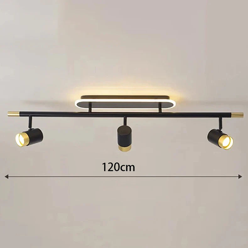 Gold Finish Ceiling Light