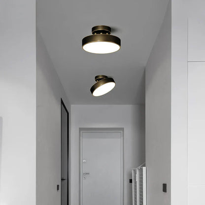 DecorBites™ Black Copper LED Ceiling Light Modern Chandelier Ring Fixture for Home Decor