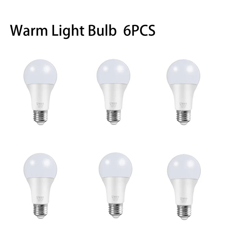 Pendant LED Ceiling Light