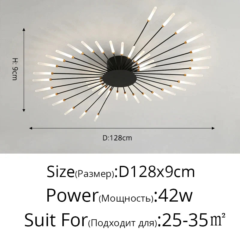DecorBites™ Acrylic LED Ceiling Lights for Bedroom Hall Living Kids Room Lamps