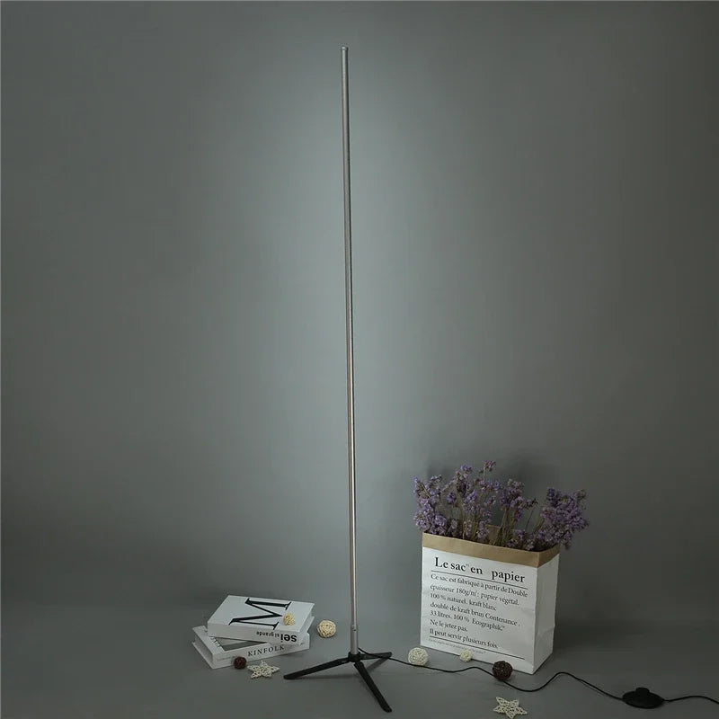 Gold Minimalist Floor Lamp
