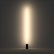 Iron Modern Floor Lamp Painted Black Finish