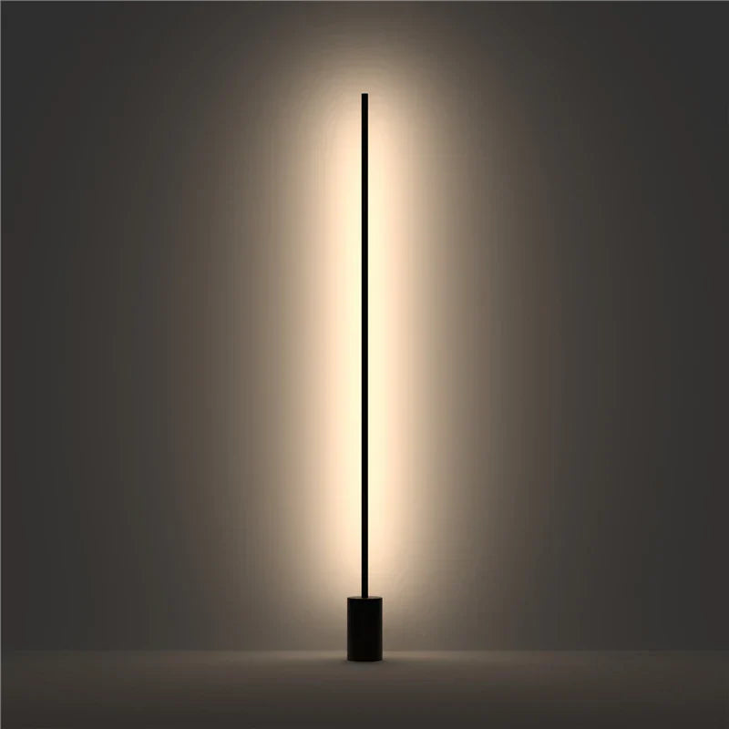 Iron Modern Floor Lamp Painted Black Finish
