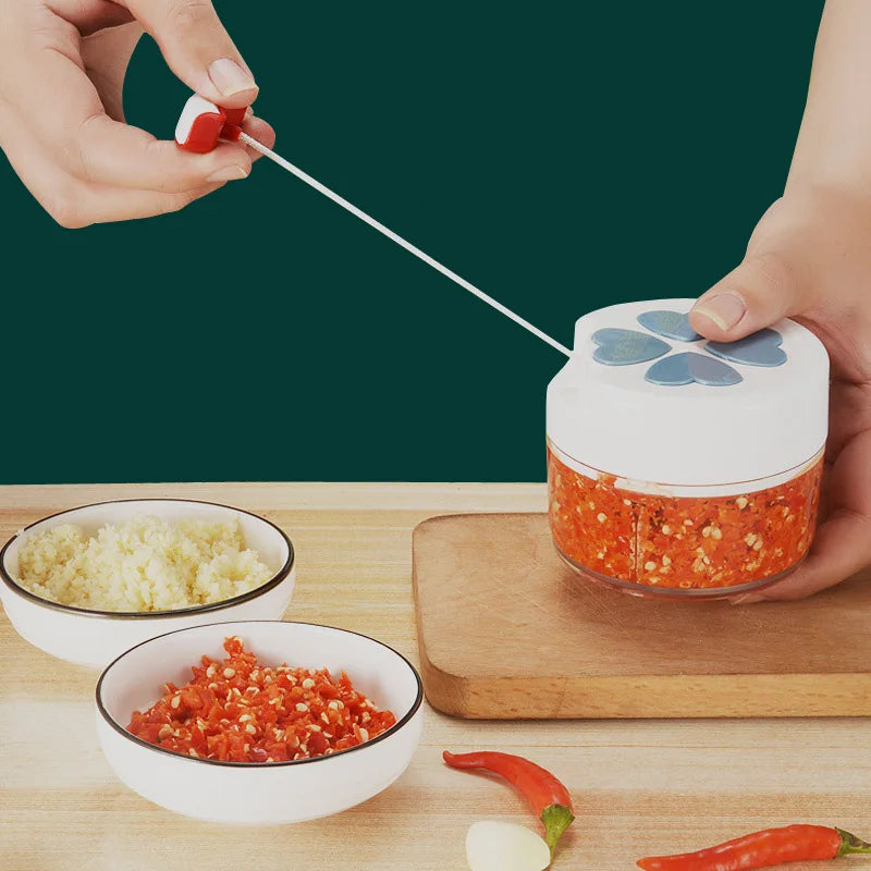 Steel Garlic Ginger Chopper