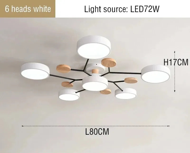 Large LED Ceiling Light Fixture