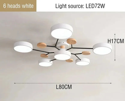 Large LED Ceiling Light Fixture