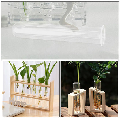 Clear Glass Test Tube Vases for Plants