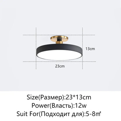 DecorBites™ LED Ceiling Lamp for Living Room Study Child Bedroom Indoor Lighting