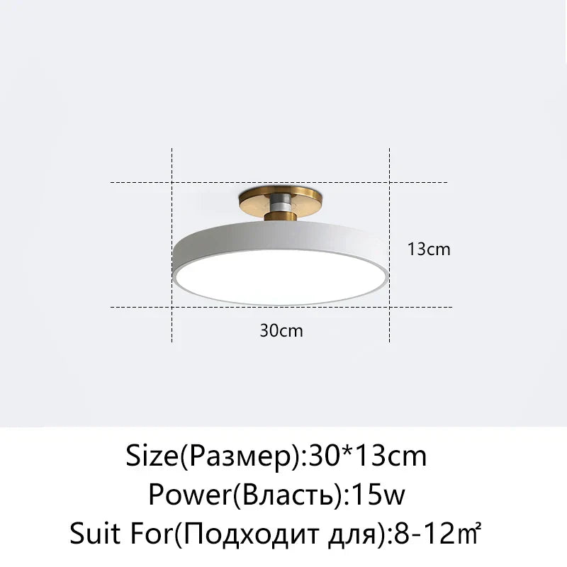 DecorBites™ LED Ceiling Lamp for Living Room Study Child Bedroom Indoor Lighting